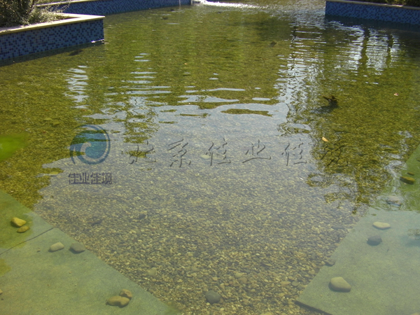 景觀(guān)水體清澈見(jiàn)底