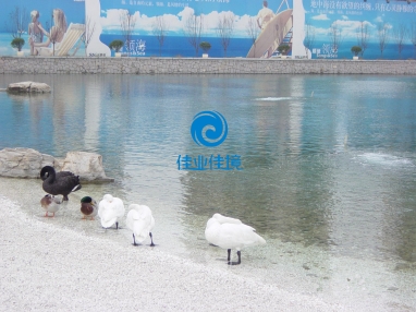 北京佳業(yè)佳境環(huán)?？萍加邢薰? title=